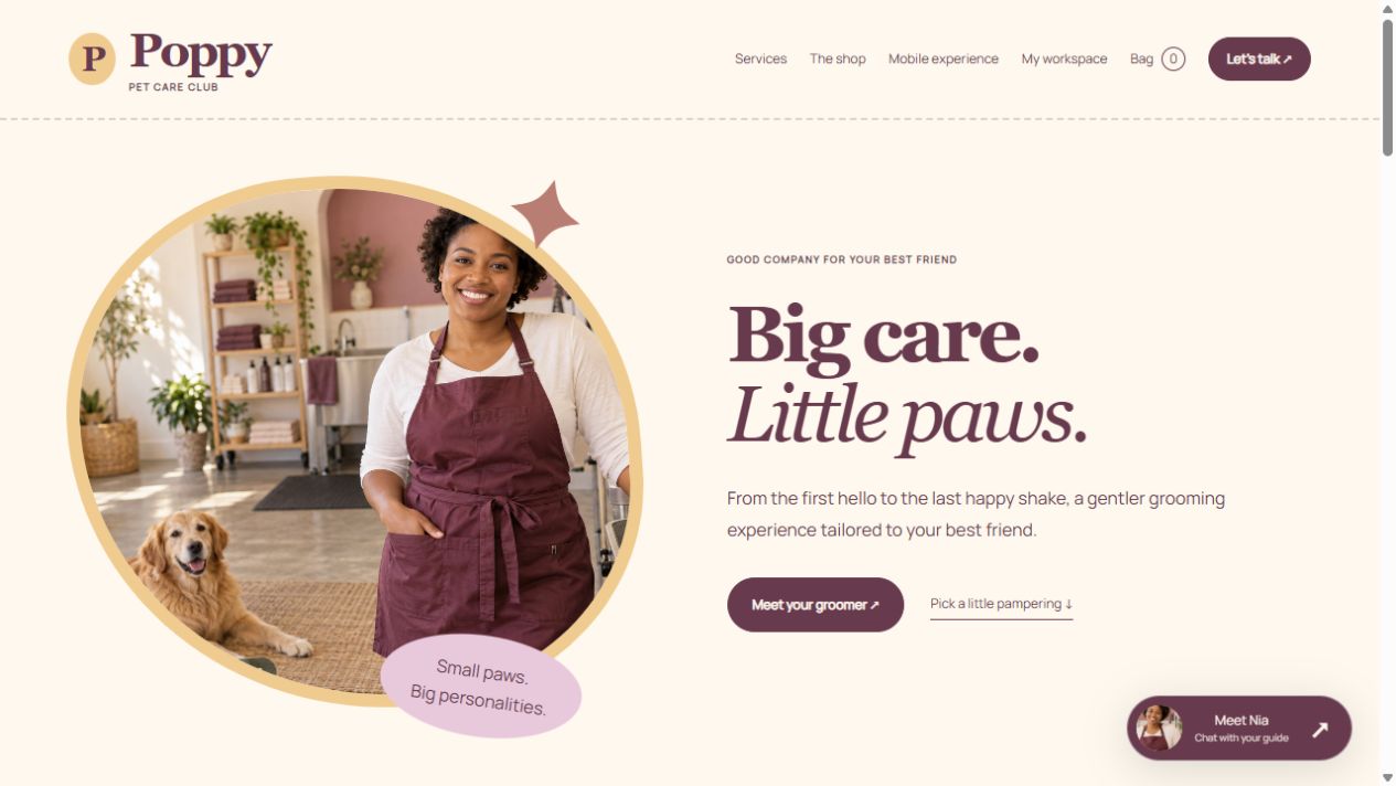 Desktop website preview